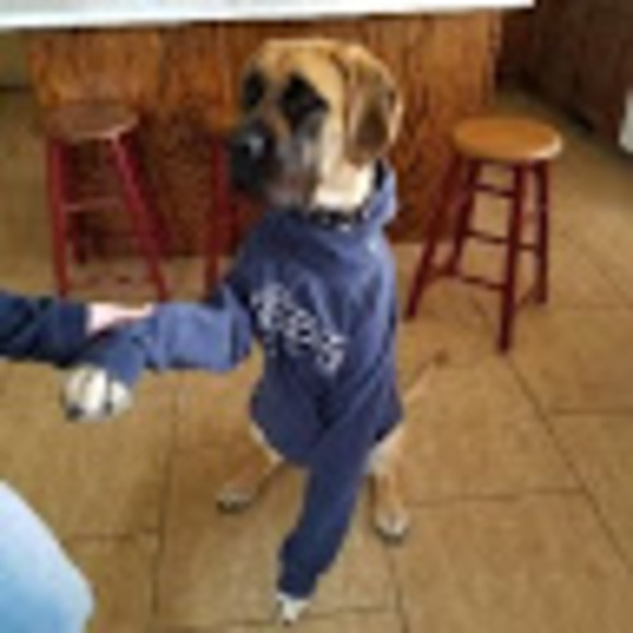 Meet your Posher, Hali - Picture 1 of 1